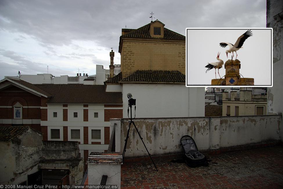 Montilla (Córdoba).